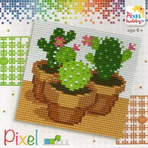 pixelhobby Kit Quadra Cactus